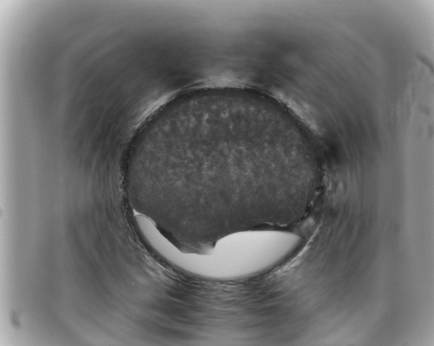 X0000097761213200803211707