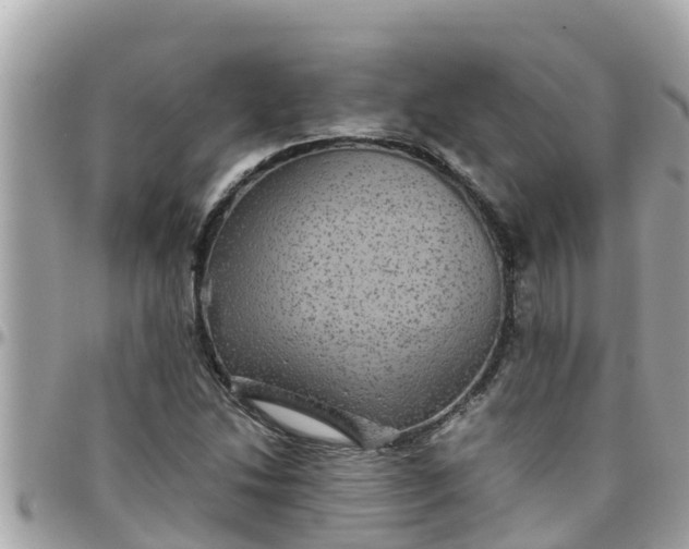 X0000097761214200803211707