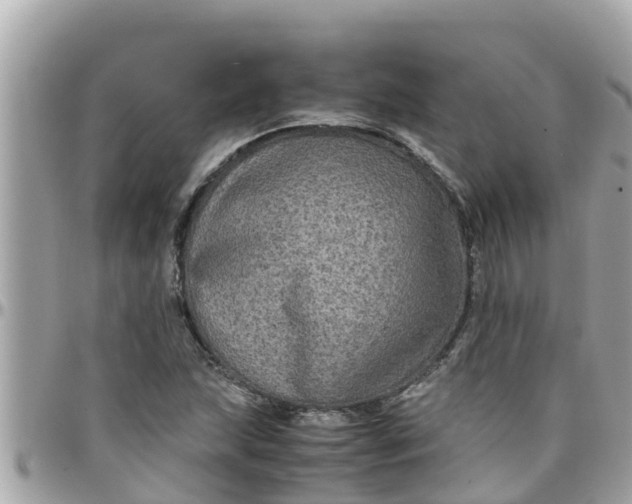 X0000097761215200803211707