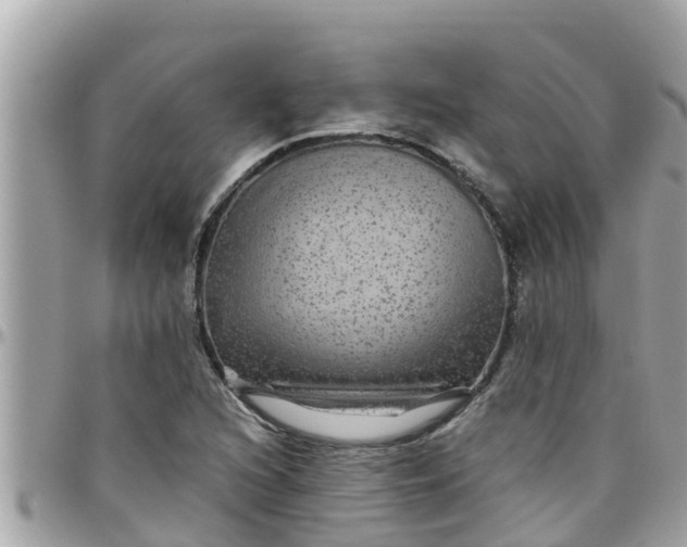 X0000097761216200803211707