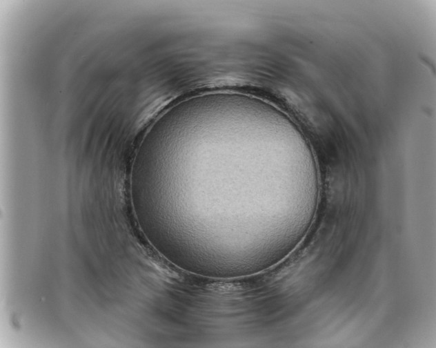 X0000097761217200803211707