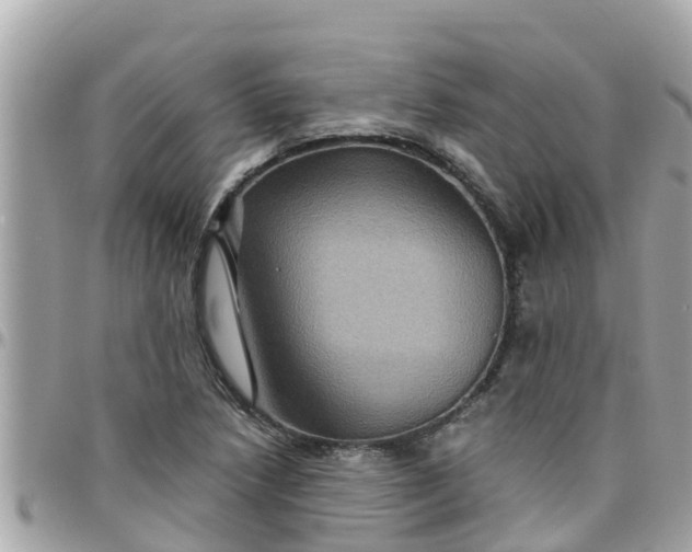 X0000097761218200803211707