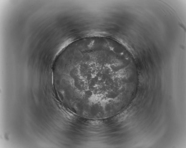 X0000097761219200803211707