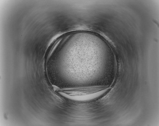 X0000097761222200803211707