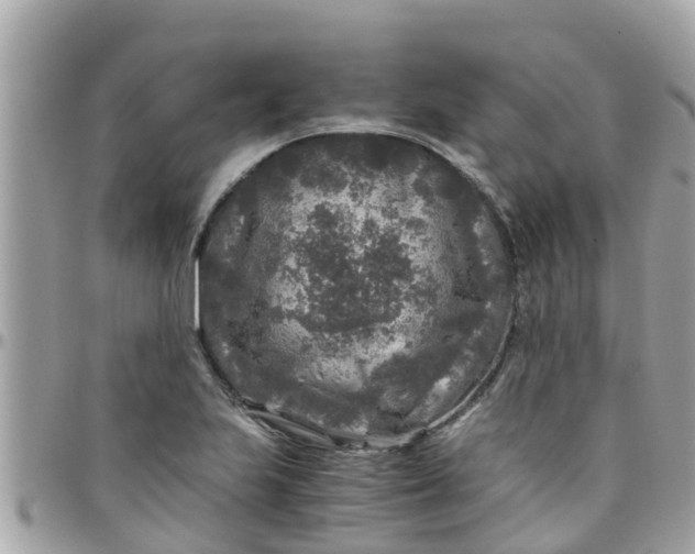 X0000097761223200803211707