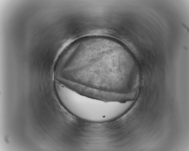 X0000097761224200803211707