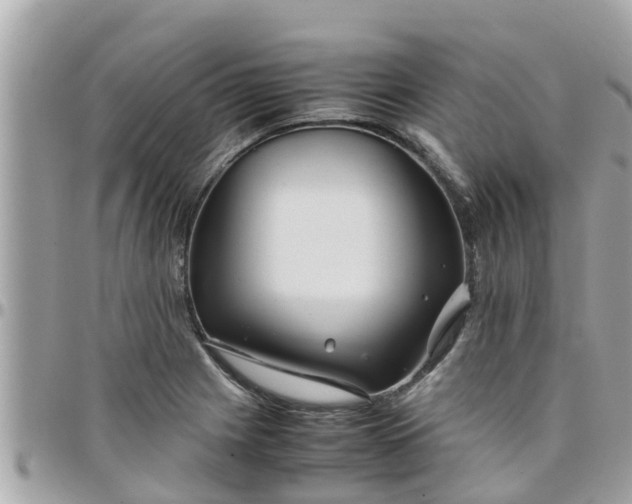 X0000097761225200803211707