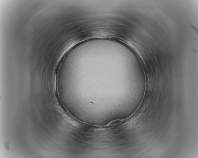 X0000097761227200803211707