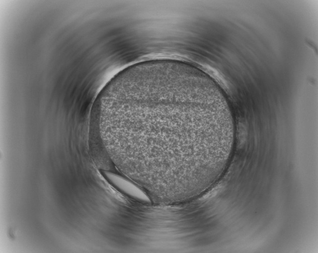 X0000097761228200803211707