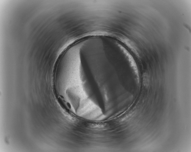 X0000097761229200803211707