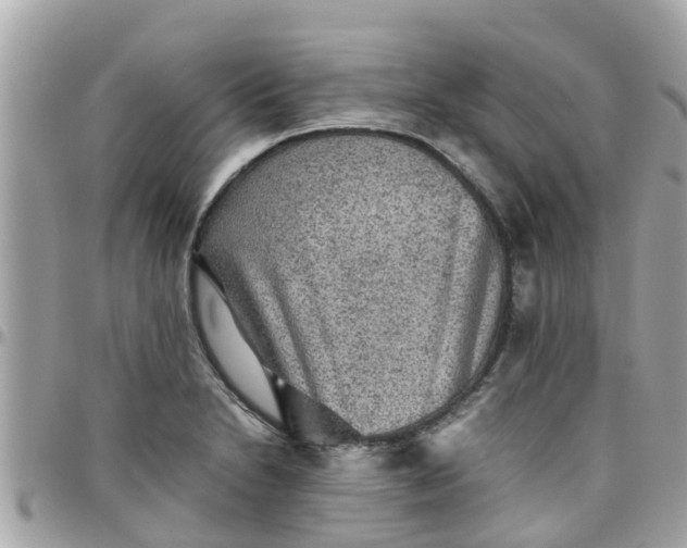 X0000097761230200803211707