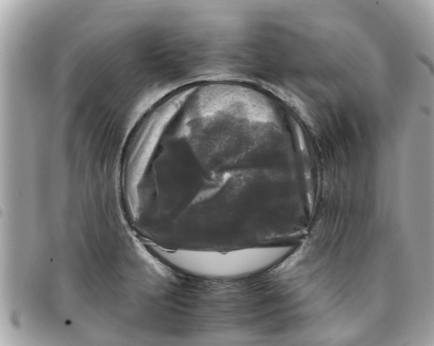 X0000097761231200803211707