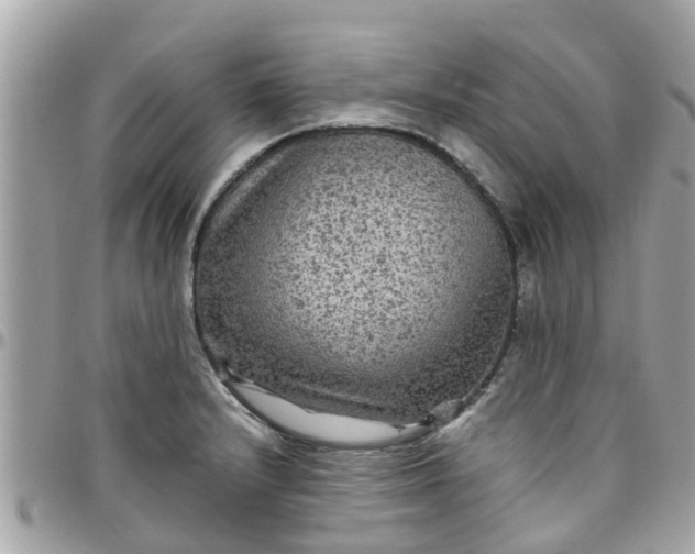 X0000097761232200803211707