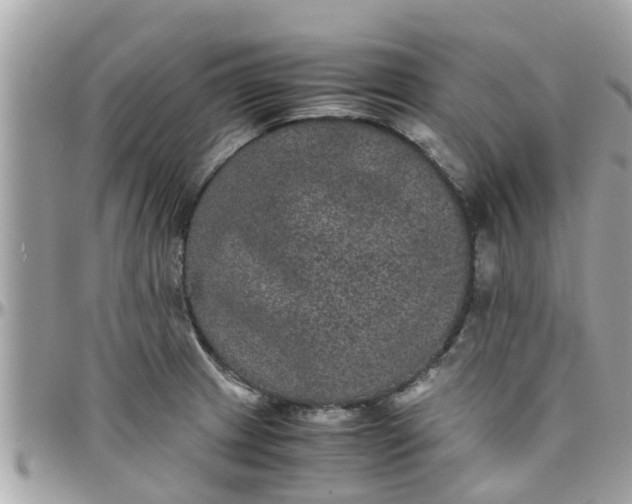 X0000097761233200803211707