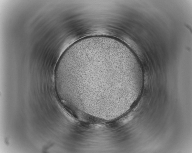 X0000097761234200803211707