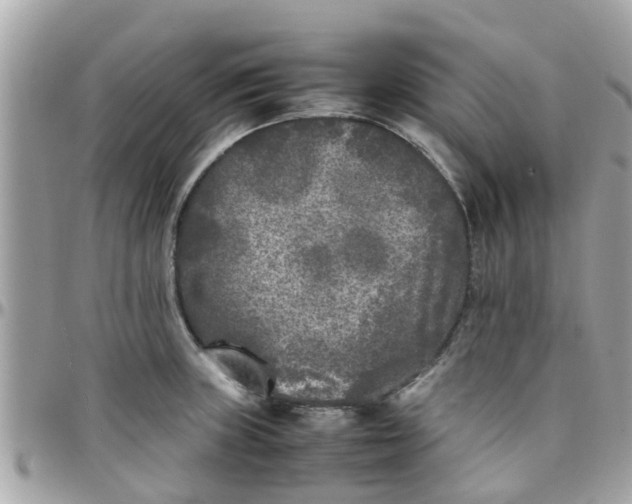 X0000097761235200803211707