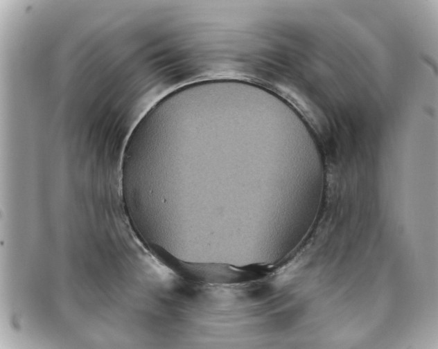 X0000097761236200803211707