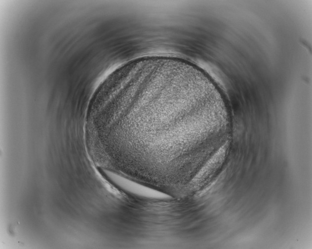 X0000097761237200803211707