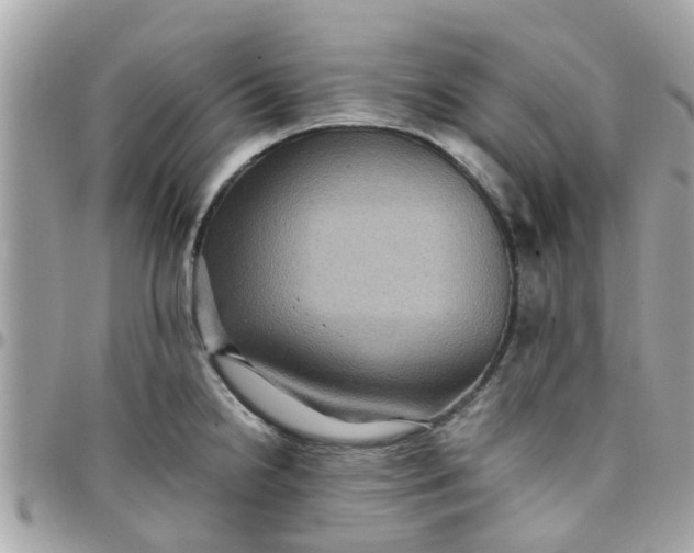 X0000097761238200803211707