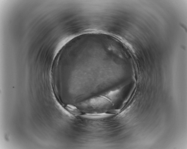 X0000097761239200803211707