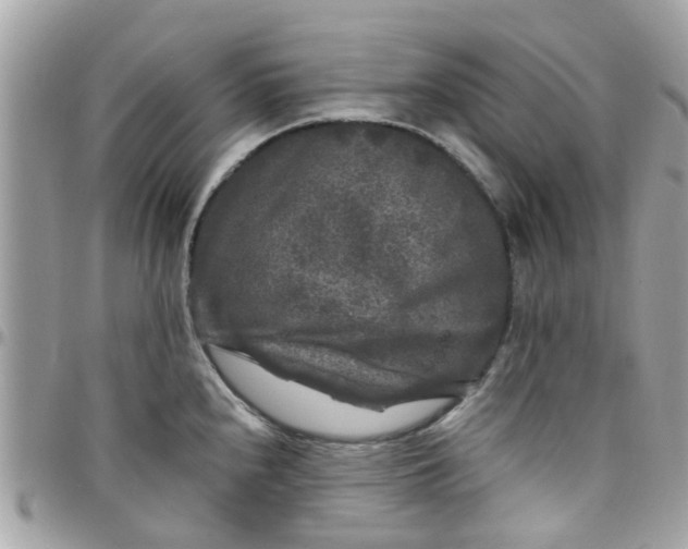 X0000097761240200803211707