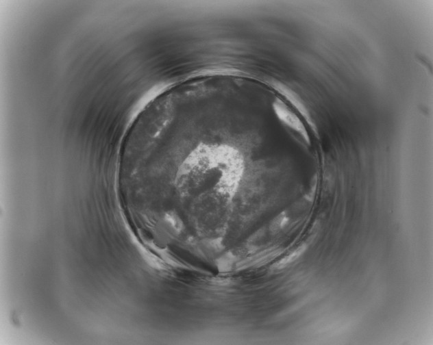 X0000097761245200803211707