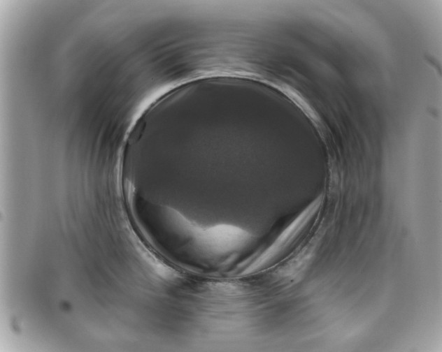 X0000097761246200803211707