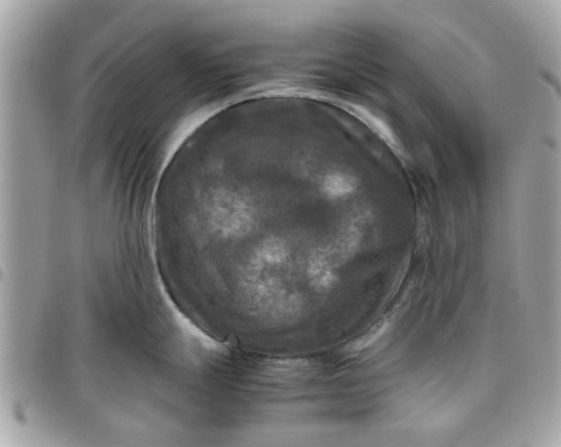 X0000097761247200803211707