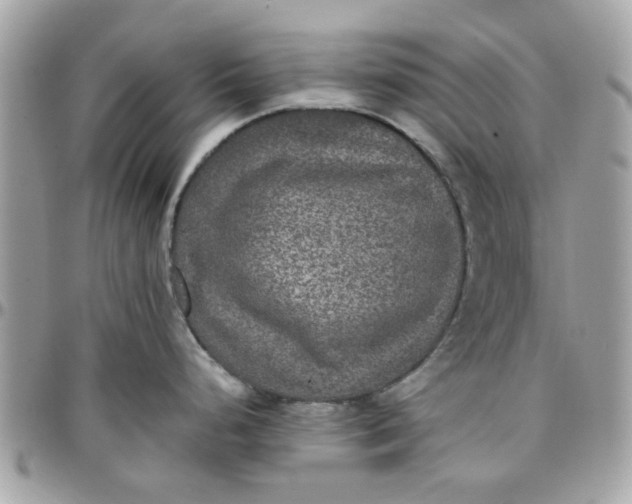 X0000097761248200803211707