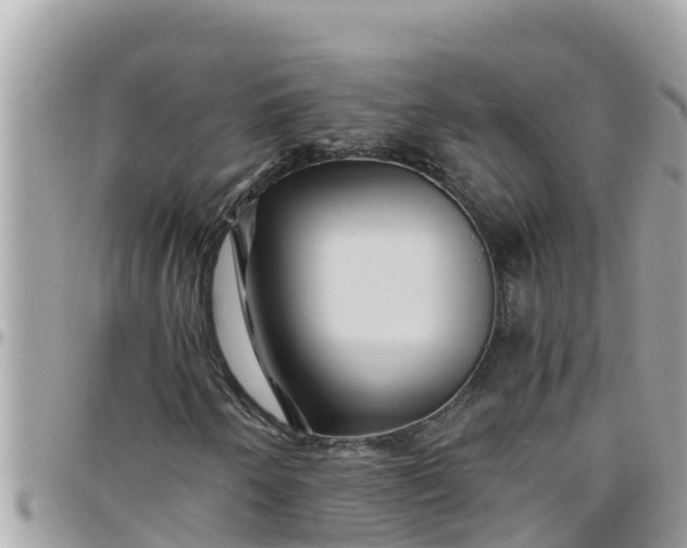 X0000097761250200803211707