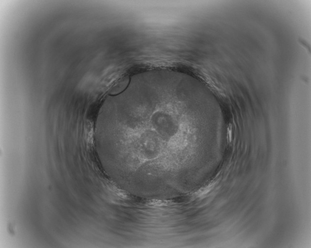 X0000097761251200803211707