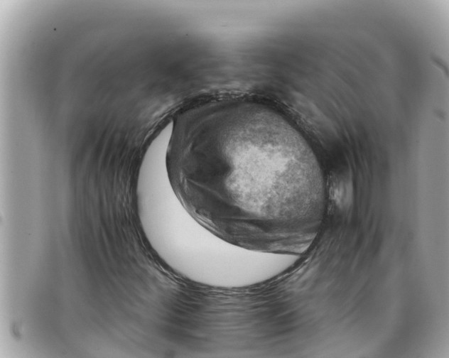 X0000097761252200803211707