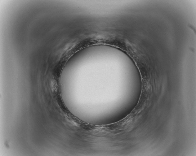 X0000097761253200803211707