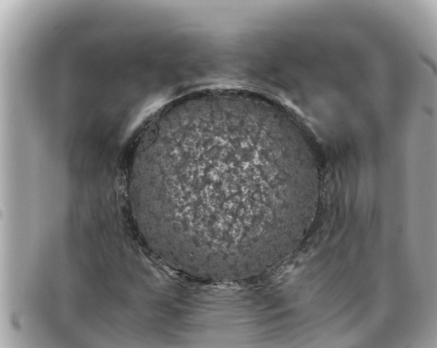 X0000097761255200803211706