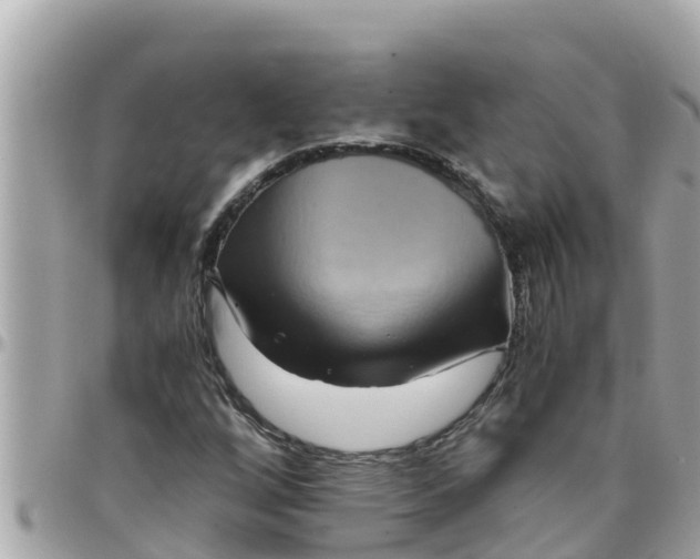 X0000097761256200803211706