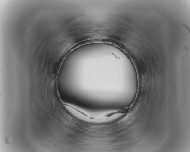 X0000097761257200803211706