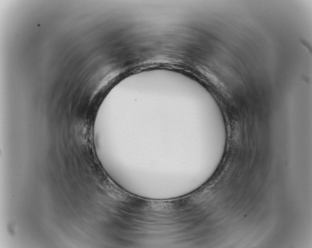 X0000097761258200803211706