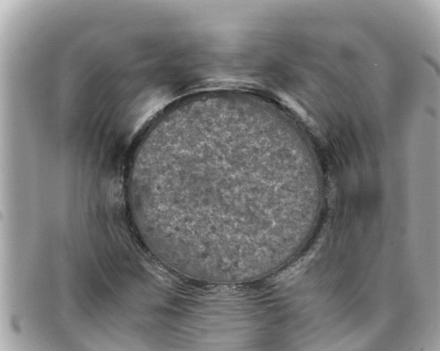 X0000097761259200803211706