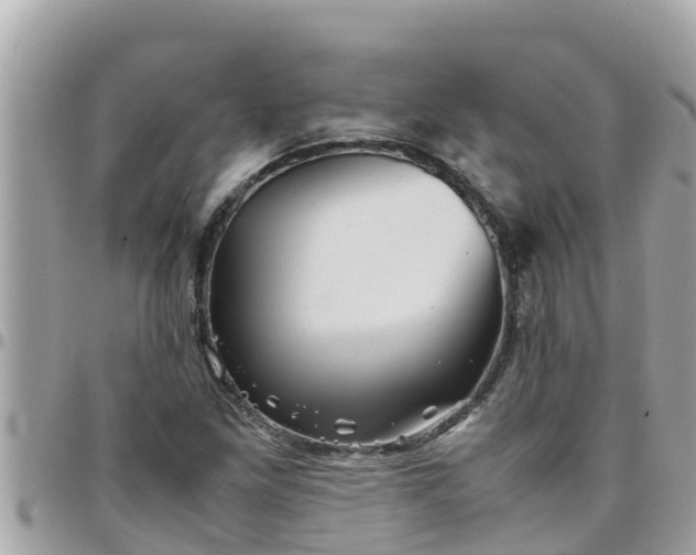 X0000097761261200803211706