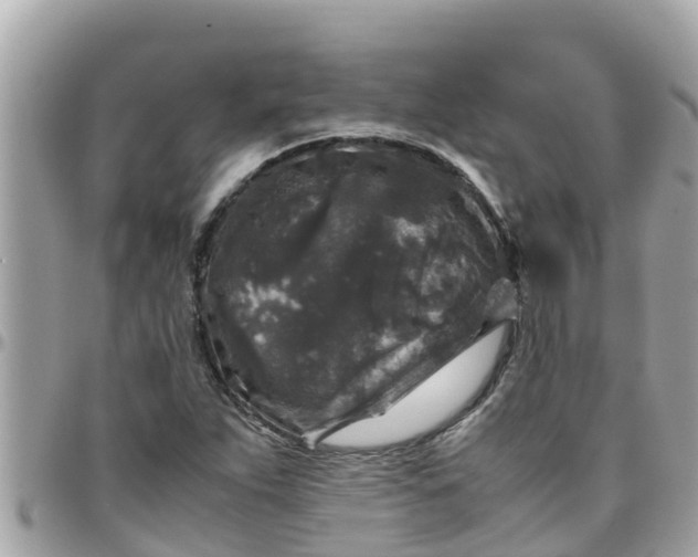 X0000097761263200803211706