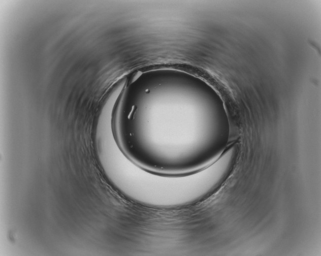 X0000097761265200803211706