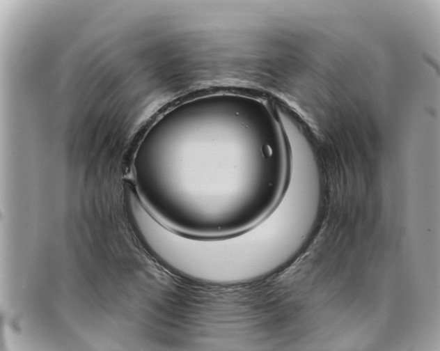 X0000097761266200803211706