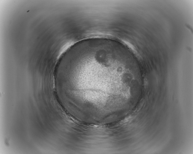 X0000097761267200803211706