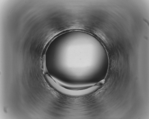 X0000097761268200803211706