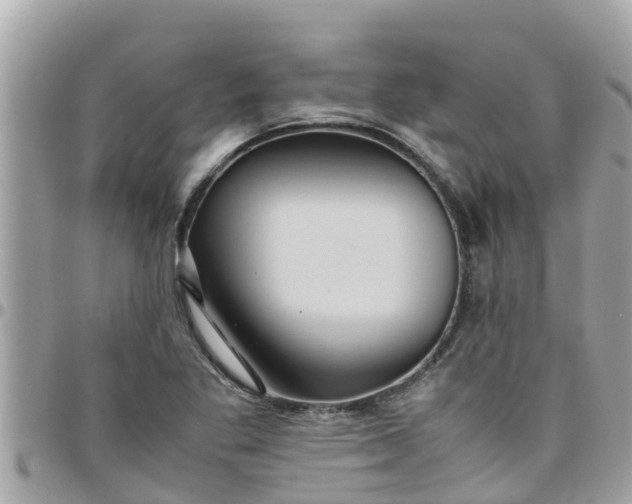 X0000097761269200803211706