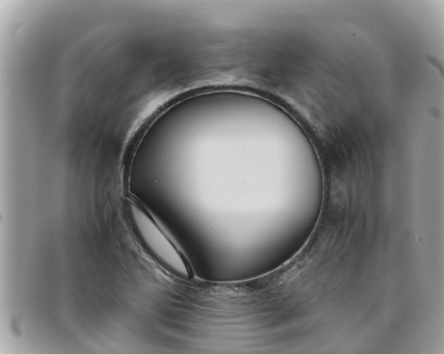 X0000097761270200803211706