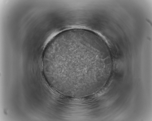 X0000097761271200803211706