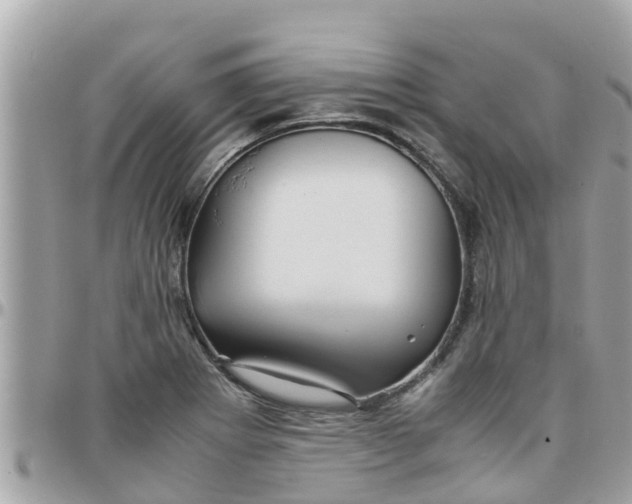 X0000097761273200803211706