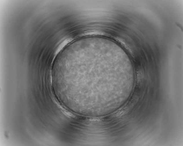 X0000097761274200803211706