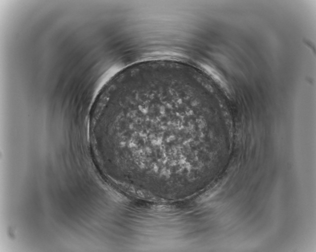 X0000097761275200803211706